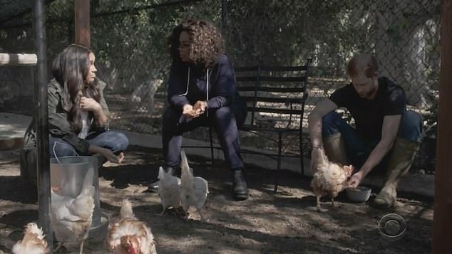 Vợ chồng Harry và Oprah Winfrey cho gà ăn ở California, trong cuộc phỏng vấn phát sóng hôm 7/3. Ảnh: CBS.