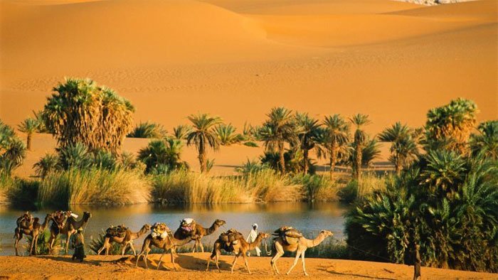 Ốc đảo đóng vai trò là trung tâm cho các hoạt động kinh tế trong sa mạc.